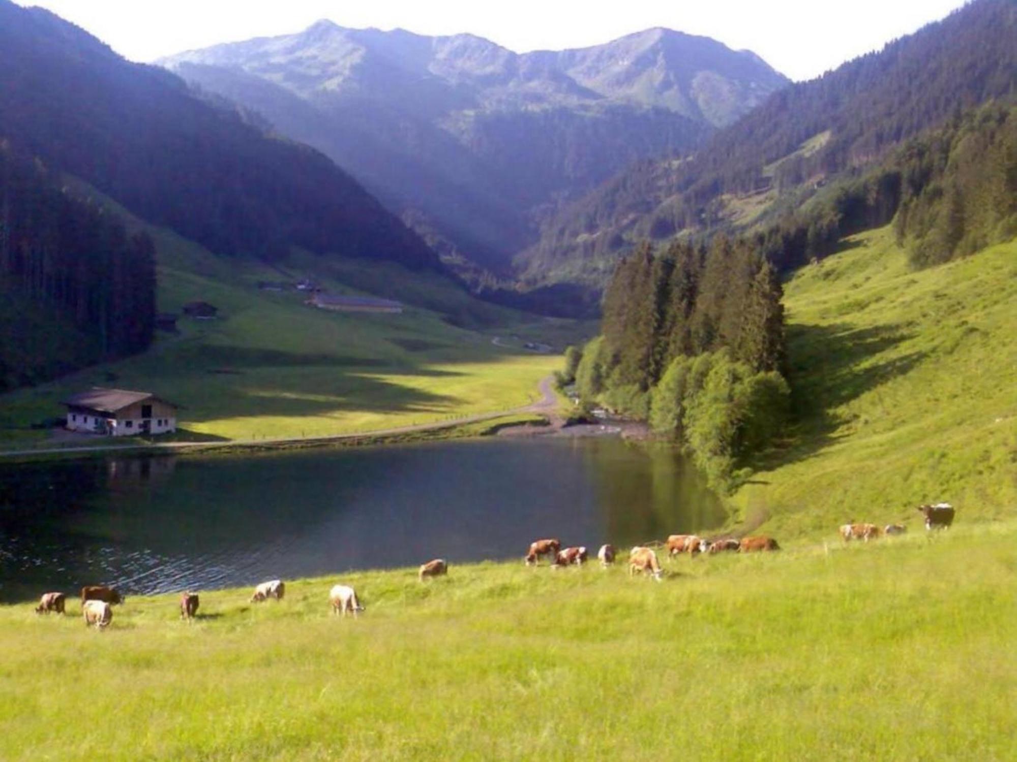 Heualm Villa Hopfgarten im Brixental Eksteriør bilde