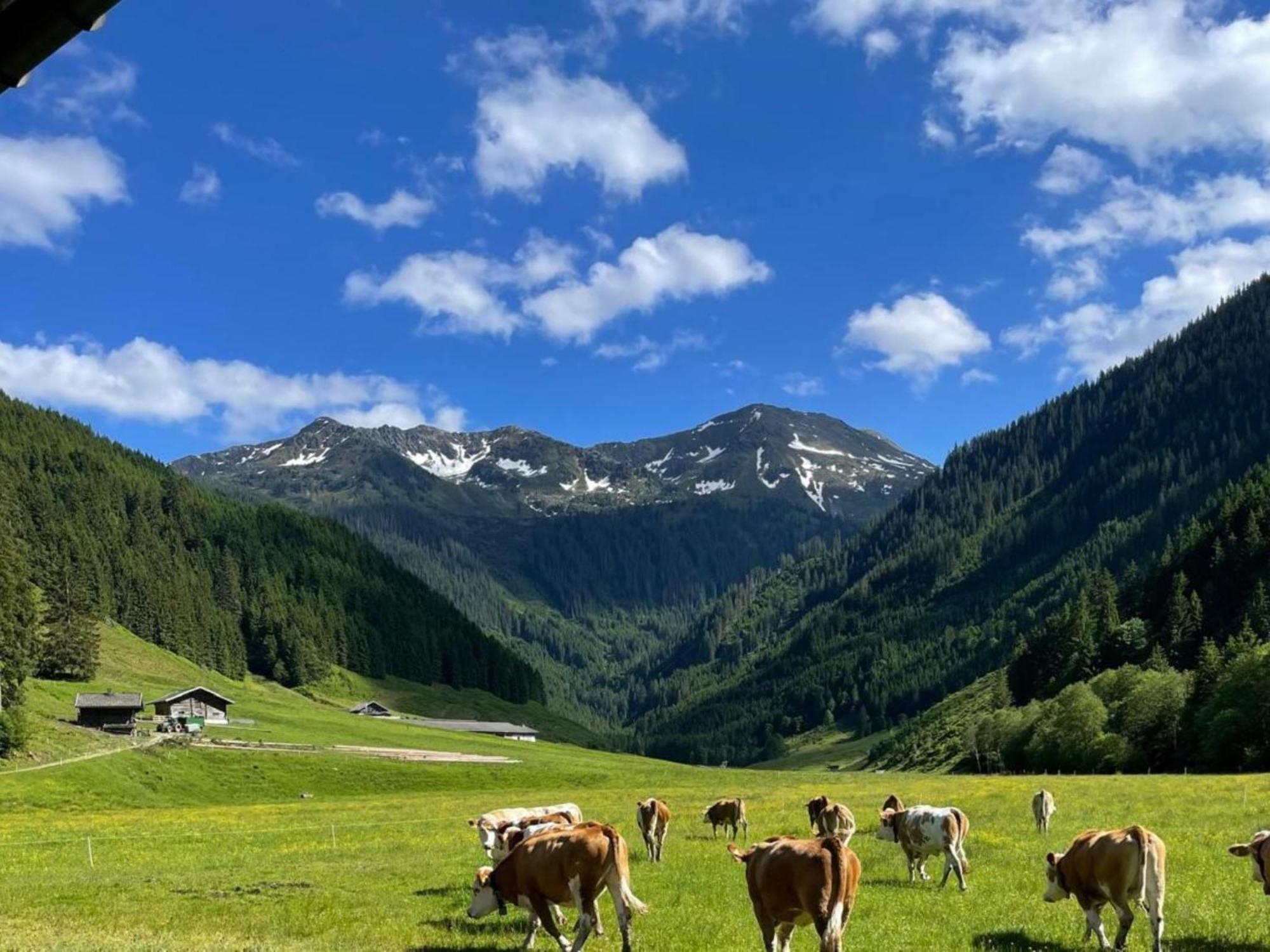 Heualm Villa Hopfgarten im Brixental Eksteriør bilde